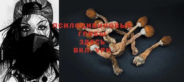 PSILOCYBIN Волоколамск