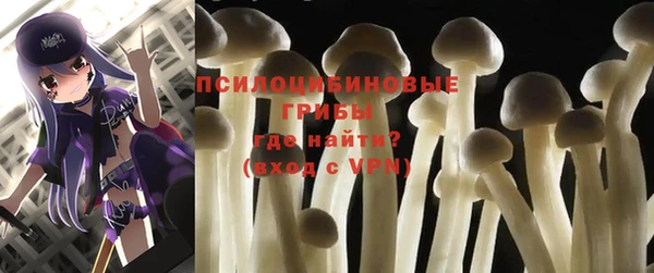 PSILOCYBIN Волоколамск
