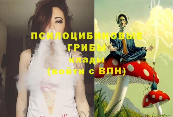 PSILOCYBIN Волоколамск